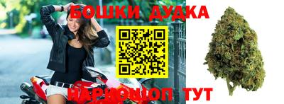 твердый Новозыбков