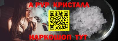 стаф Нальчик