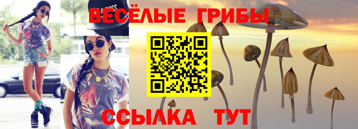 Псилоцибиновые грибы Psilocybe  Галлюциногенные грибы MAGIC MUSHROOMS  Вход с VPN  Соликамск 